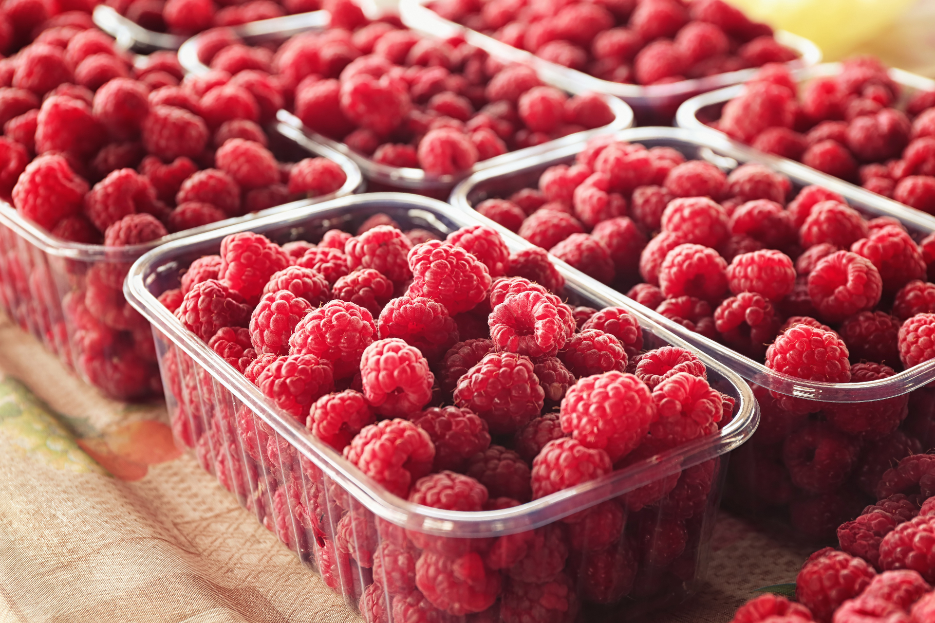 Fresh JUSTBEE Sweet raspberries on yogurt breakfast bowl